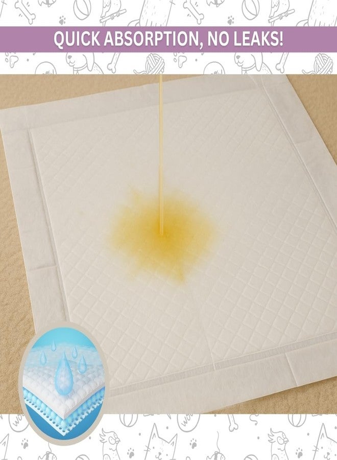 Basil Dogs Training Pads | Ultra-Absorbent & Leakproof Pet Pee Pads | Odor Control, Non-Slip Stick-On Tape | Soft & Comfortable for Indoor & Outdoor Puppy Training | 60 x 90cm | 15 pcs - Image 3